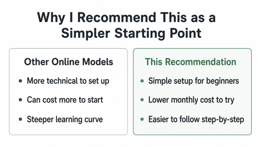 Simple online income option for beginners